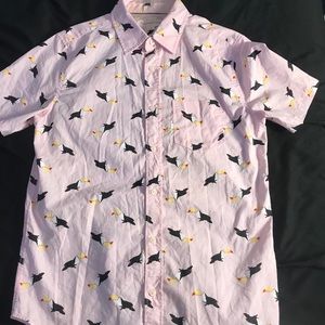 aeropostale pink button down shirt
